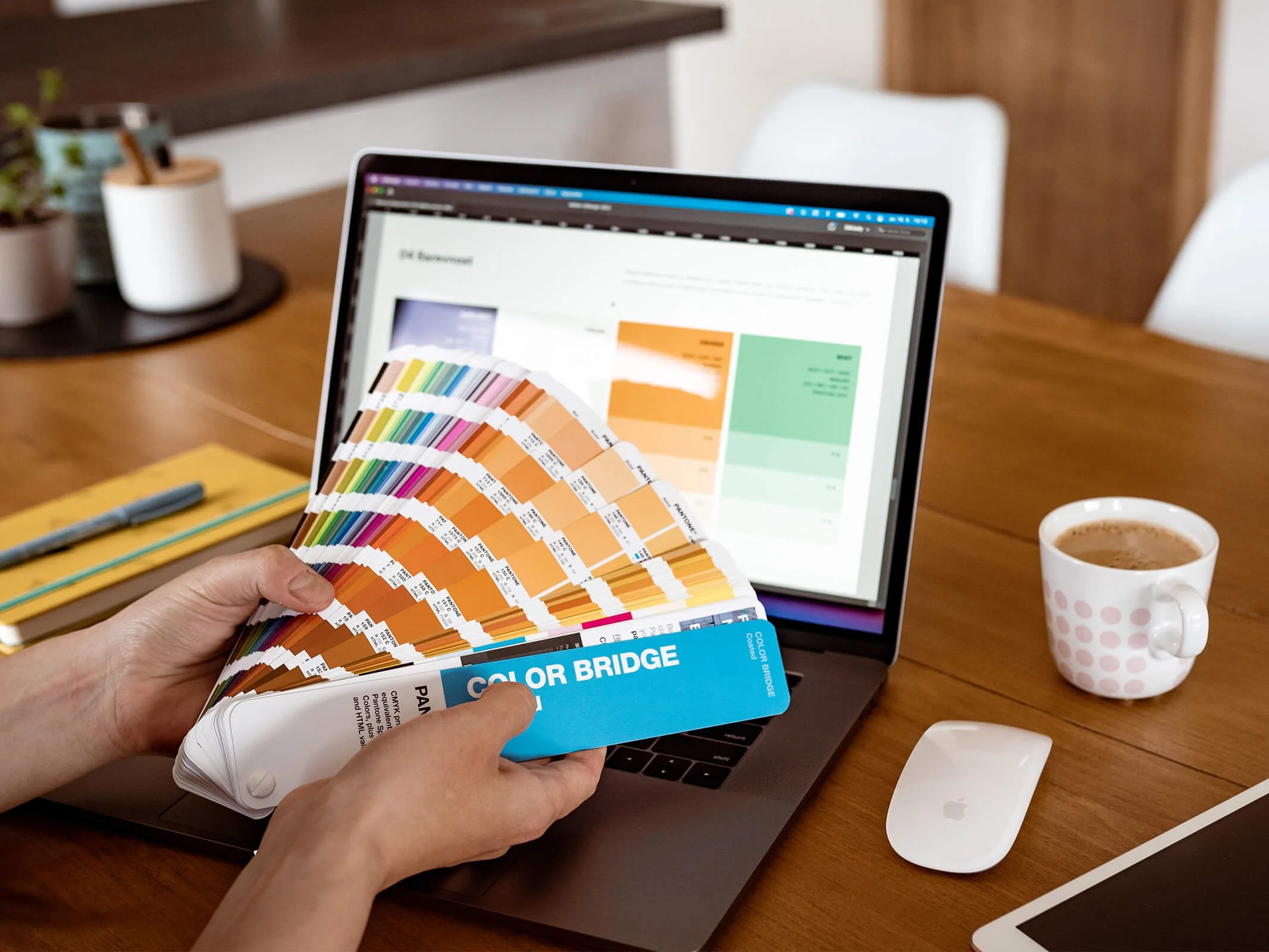 Tvorba vizuální identity, výběr barevnosti značky