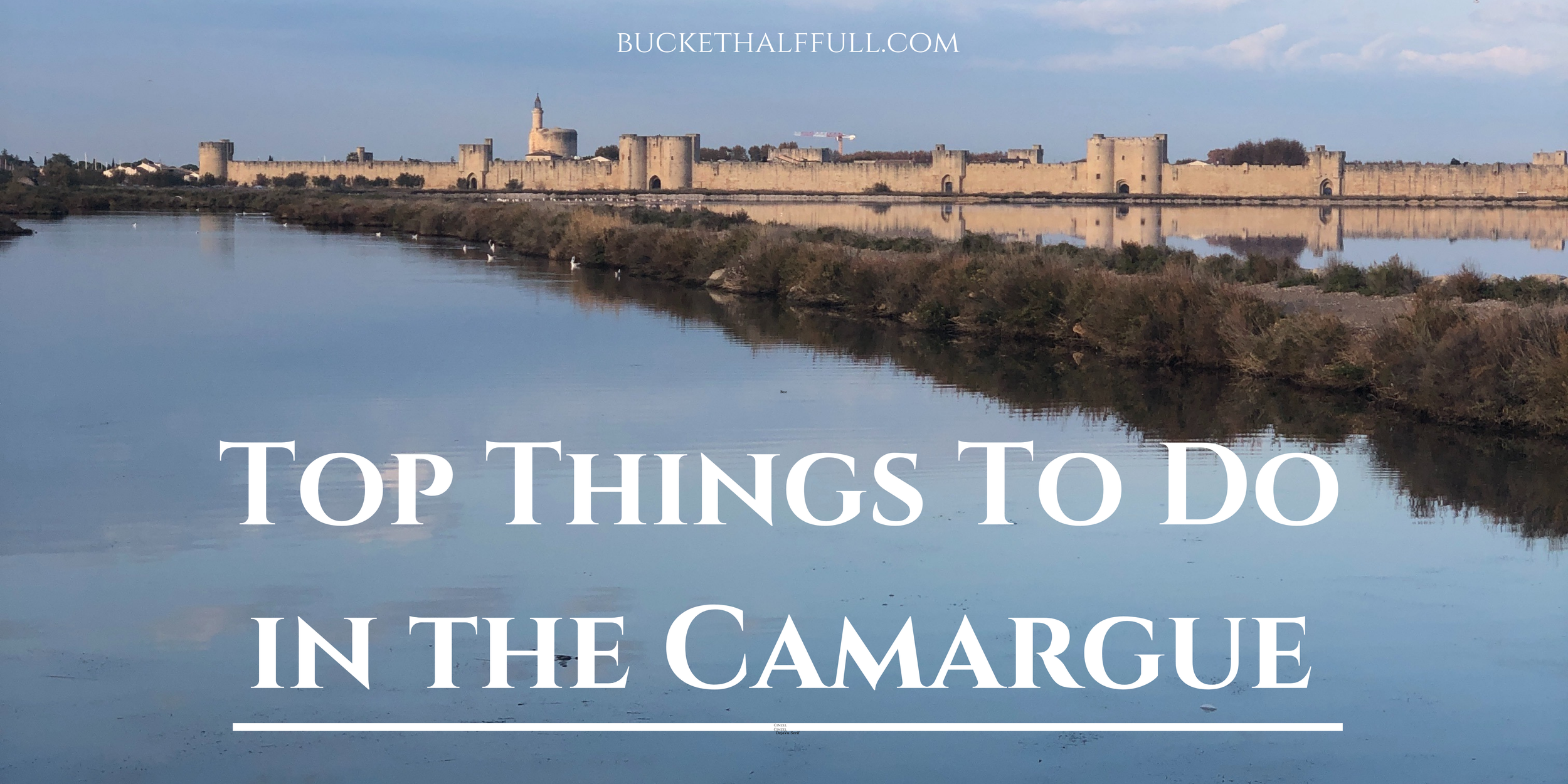 Top Things to do in the Camargue