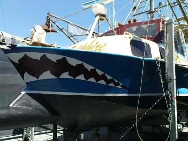 Boat with shark mouth painted on its bow at a dock.