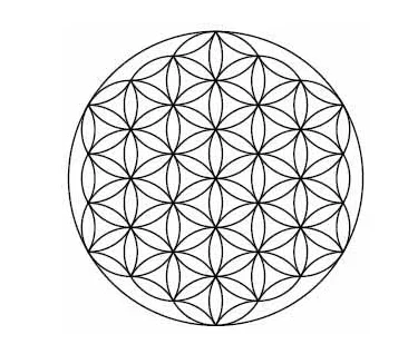 flower_of_life_large.webp