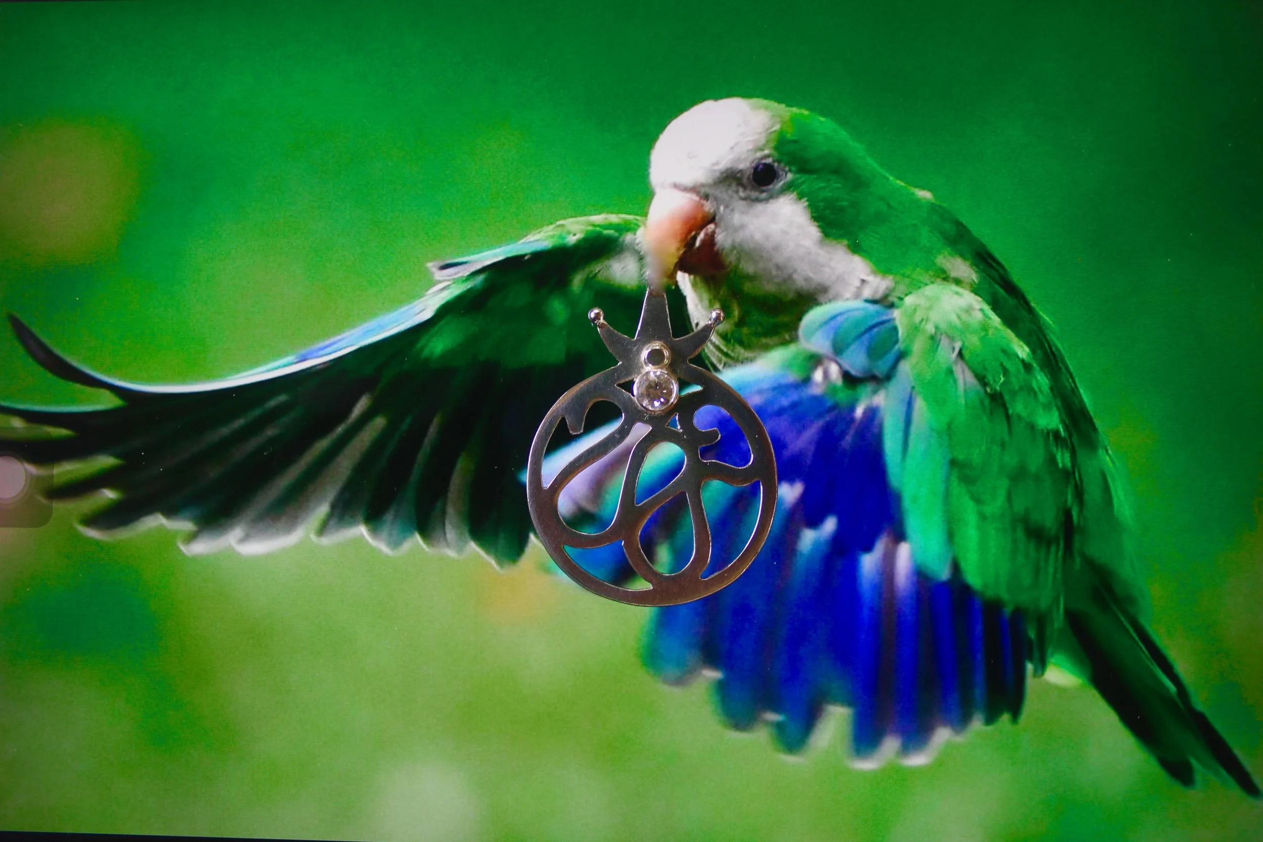 THE BIRD IS NOT PART OF THE SHIPMENT