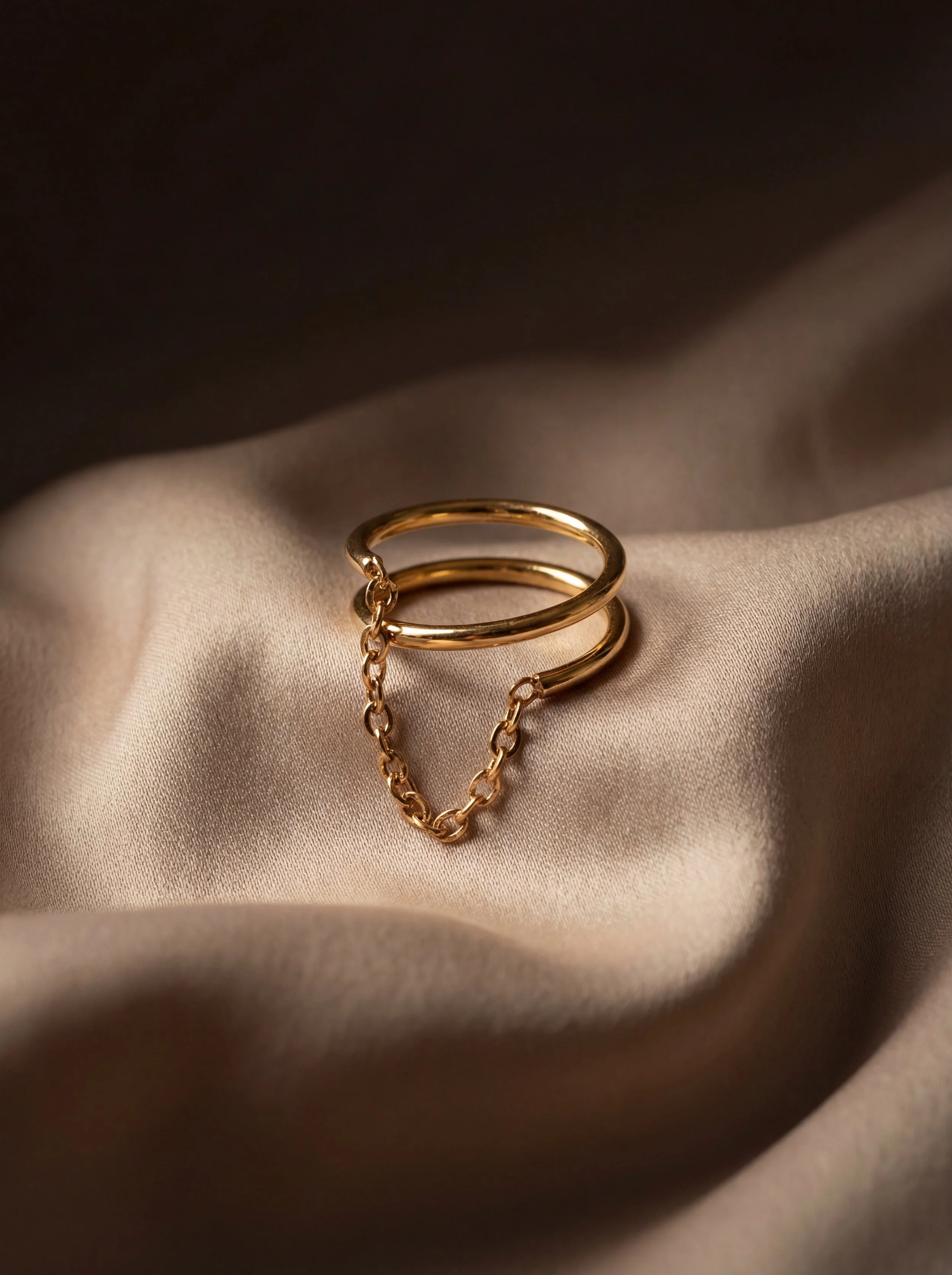 Double Loop Chain Ring