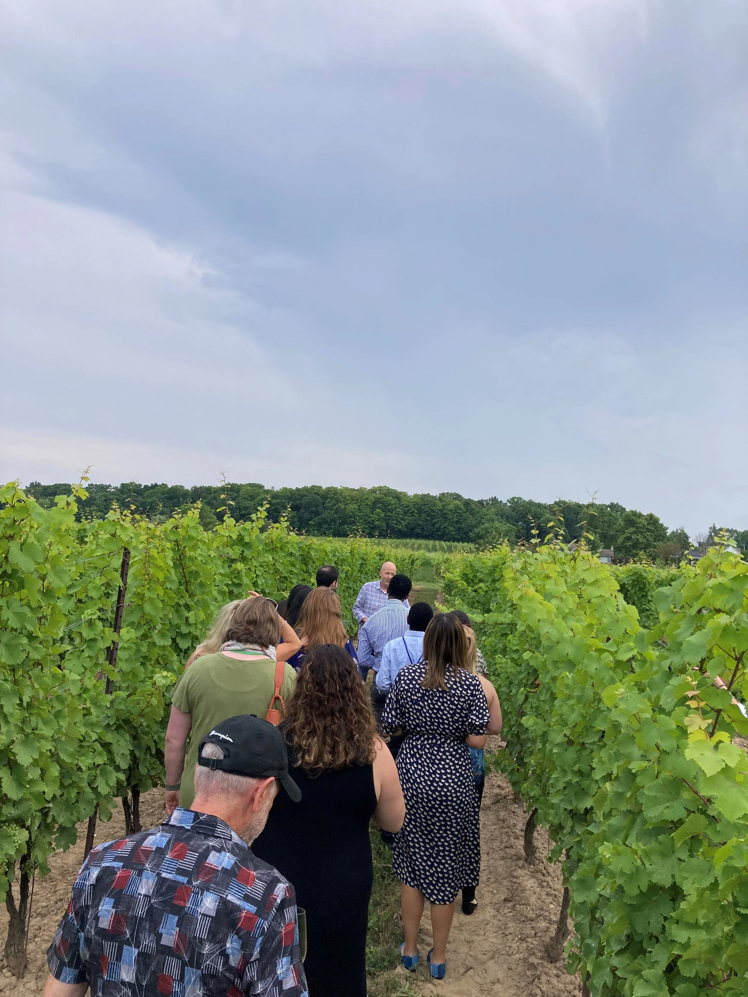 Image from htan157 Inbox.jpg