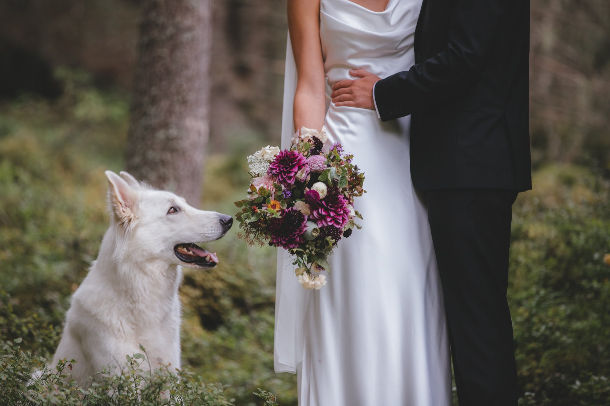 hana&konstantin-tskog-20.jpg