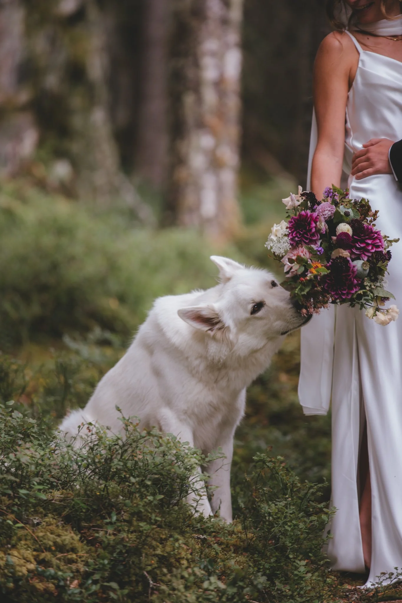 hana&konstantin-tskog-18.jpg