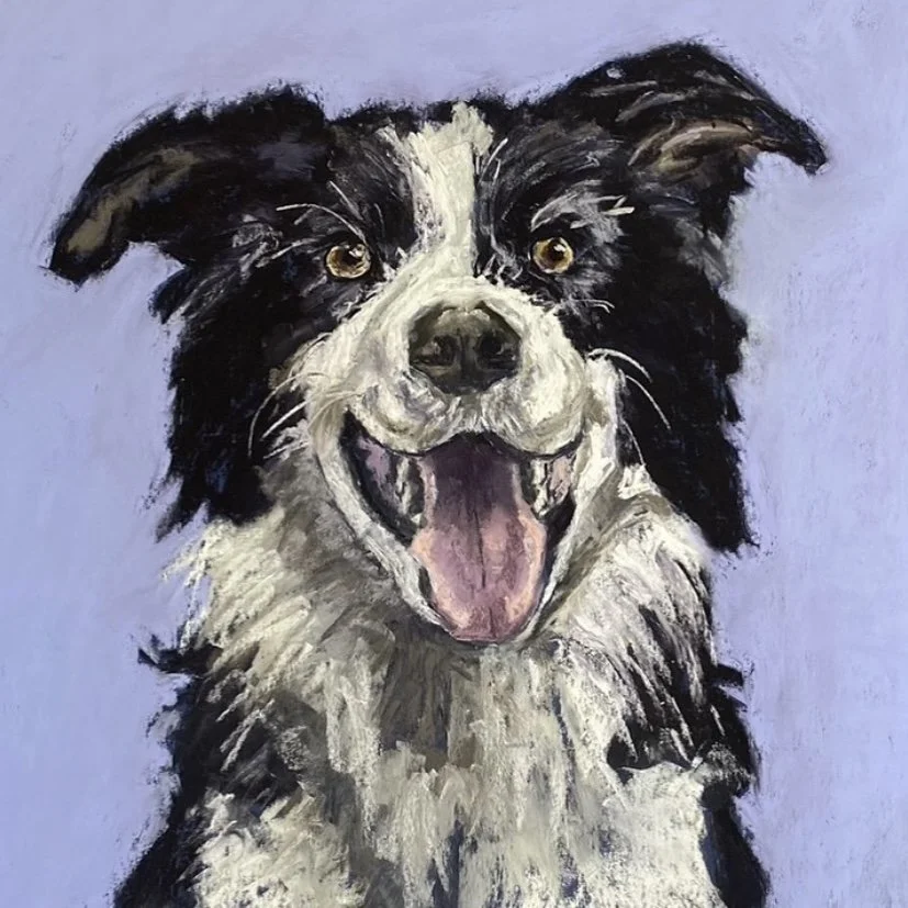 Happy Dog.jpg