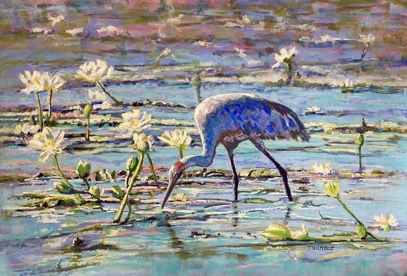 A painting of a bird (possibly a heron) with blue and purple feathers standing in water among white water lilies and green lily pads.