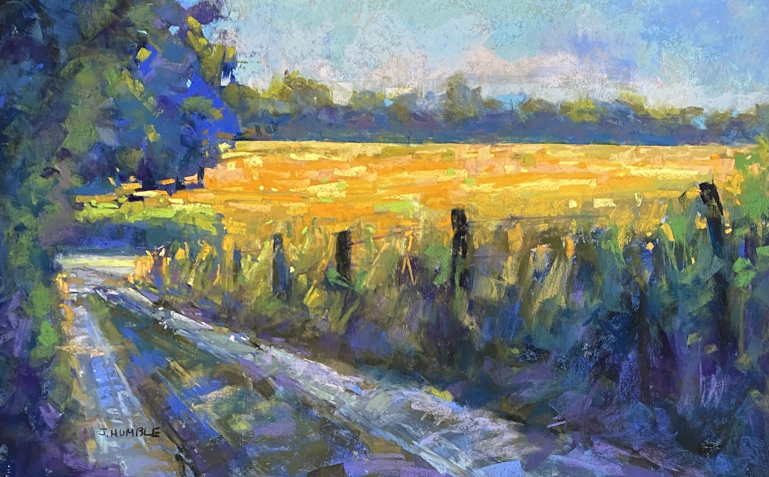 Canola Gold