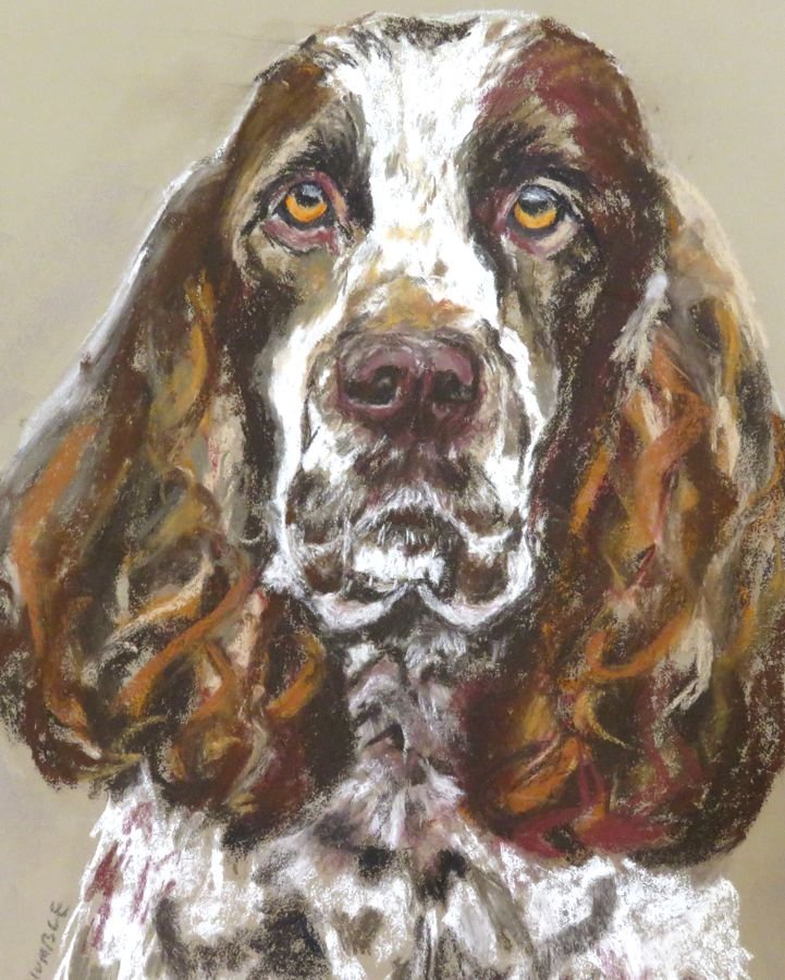 Painting of a dog's face with long, wavy brown and white fur, amber eyes, and droopy ears.