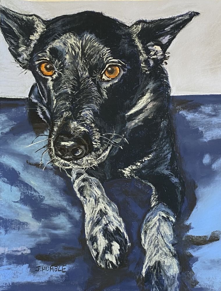 Painting of a black dog with orange eyes lying down on a blue surface, gazing forward.