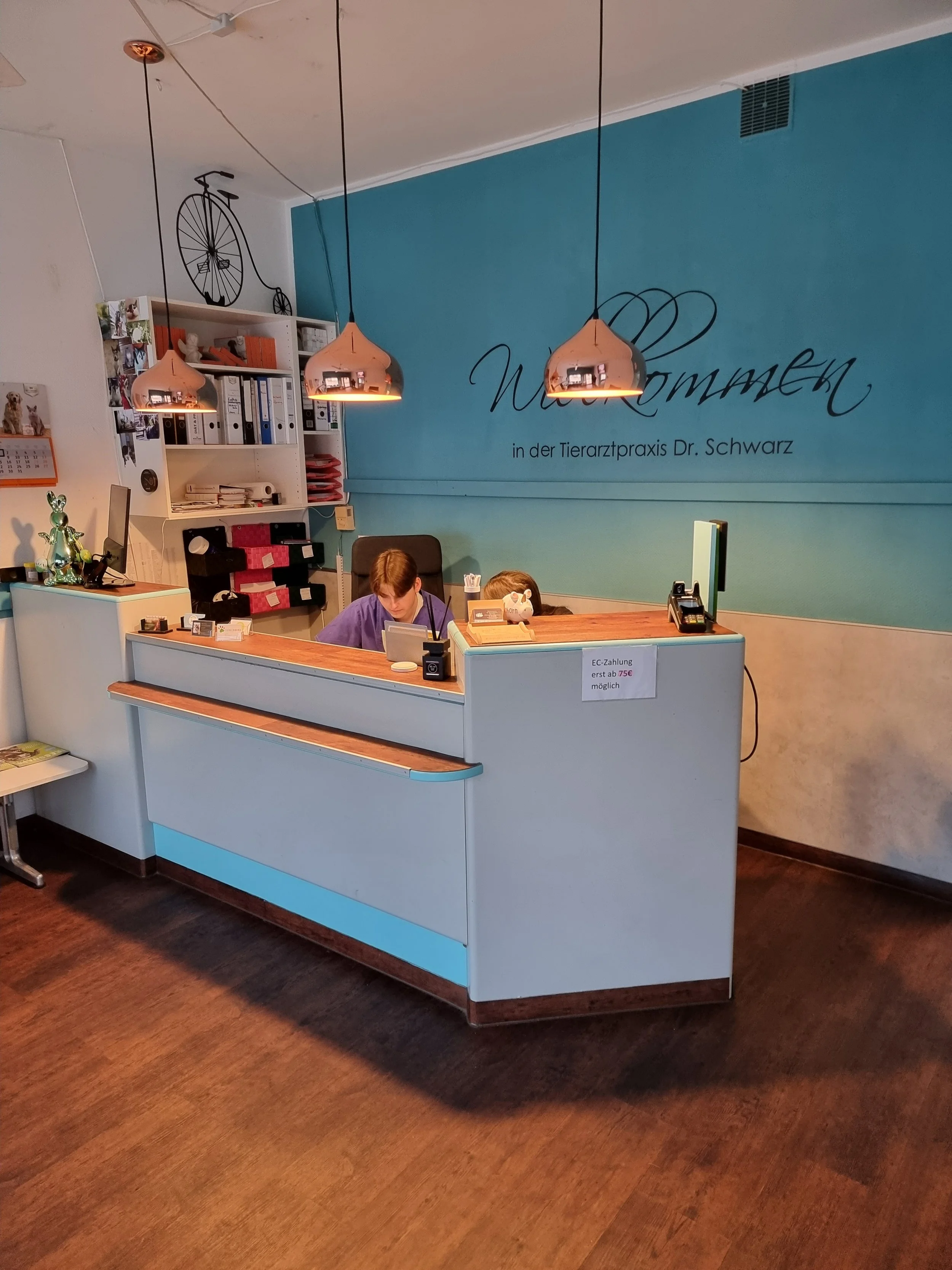 Rezeption in einer Tierarztpraxis mit zwei Mitarbeiterinnen, einem Beleuchtungssystem und einem blauen Wand mit Schriftzug Willkommen in der Tierarztpraxis Dr. Schwarz.