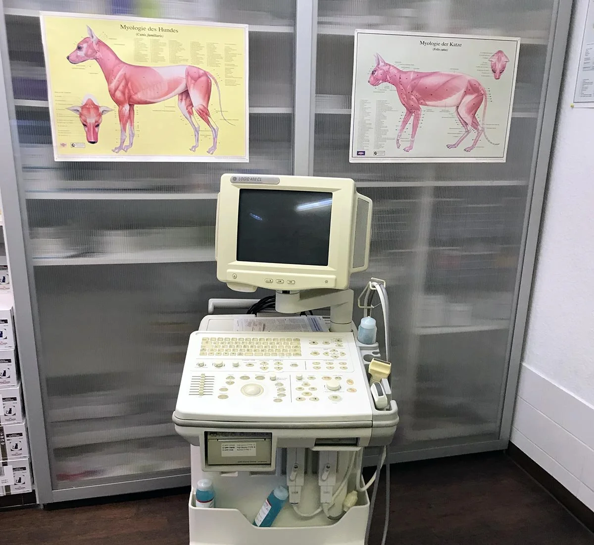 Ein Ultraschallgerät steht vor einem Schrank mit zwei Wandplakaten, die die Myologie von Hund und Katze zeigen.