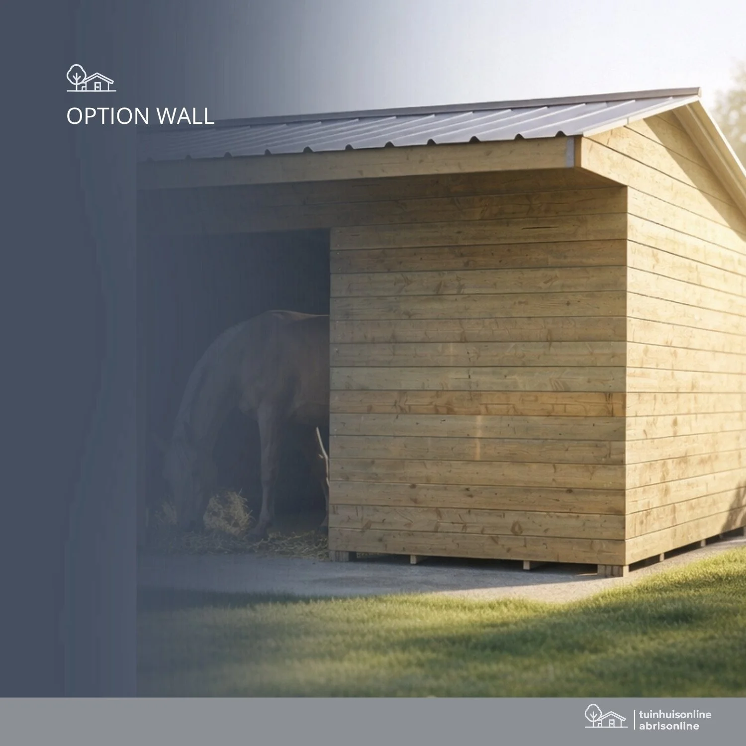 optie wall shelter.jpg