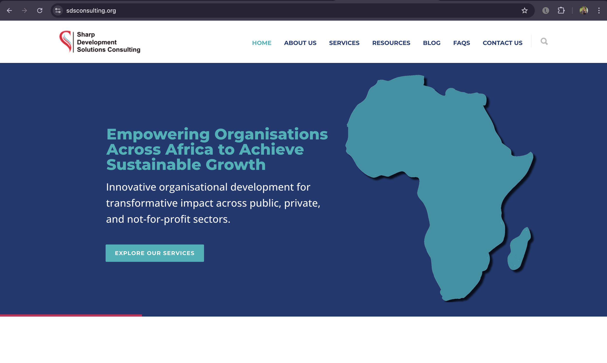 SDS Consulting Website