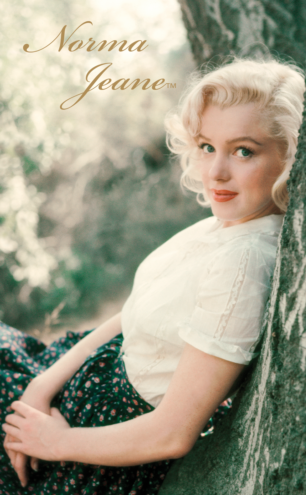 Front - NJ20 (png).png