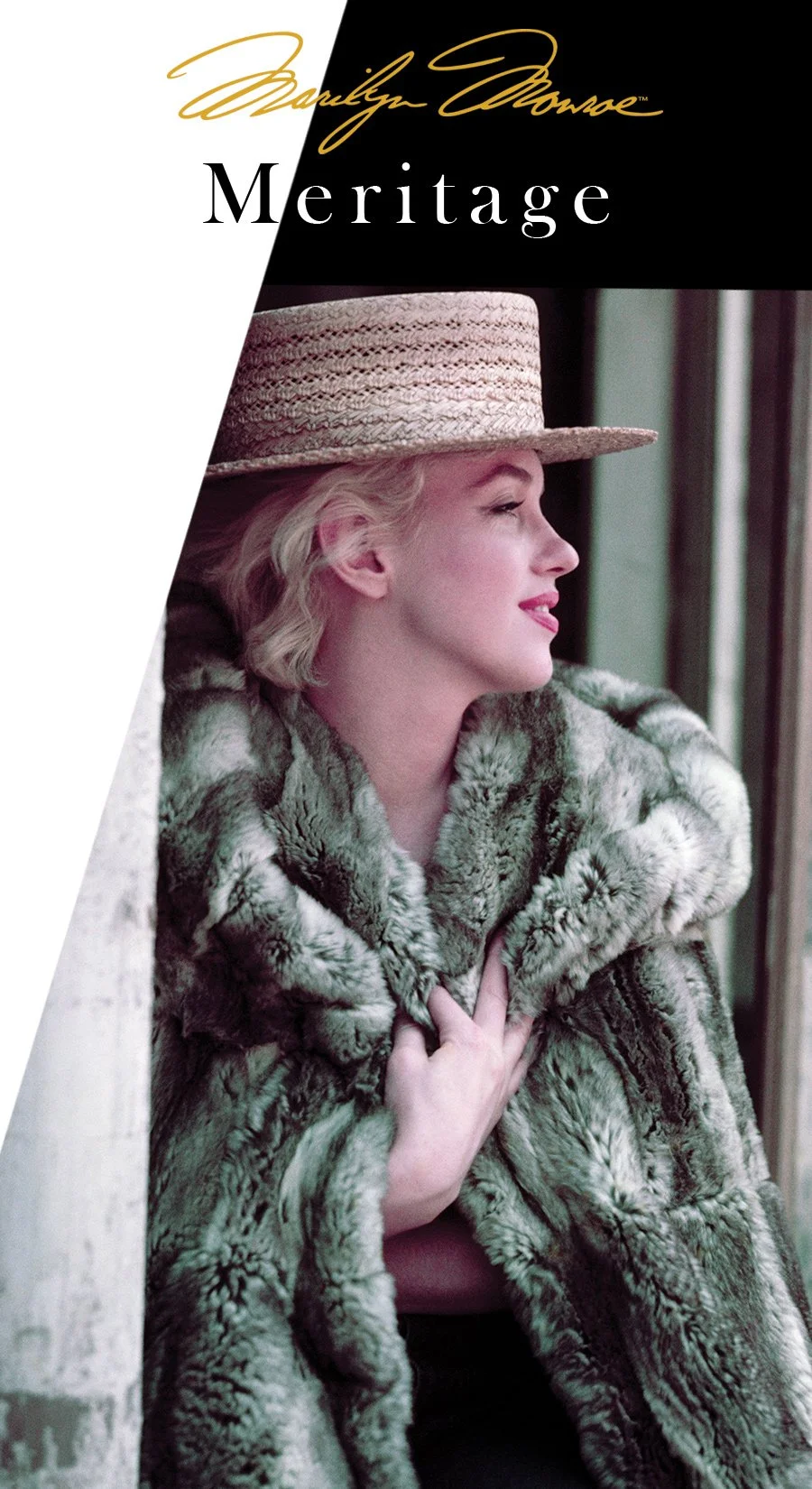 MT24 Front Label - Sample.jpg