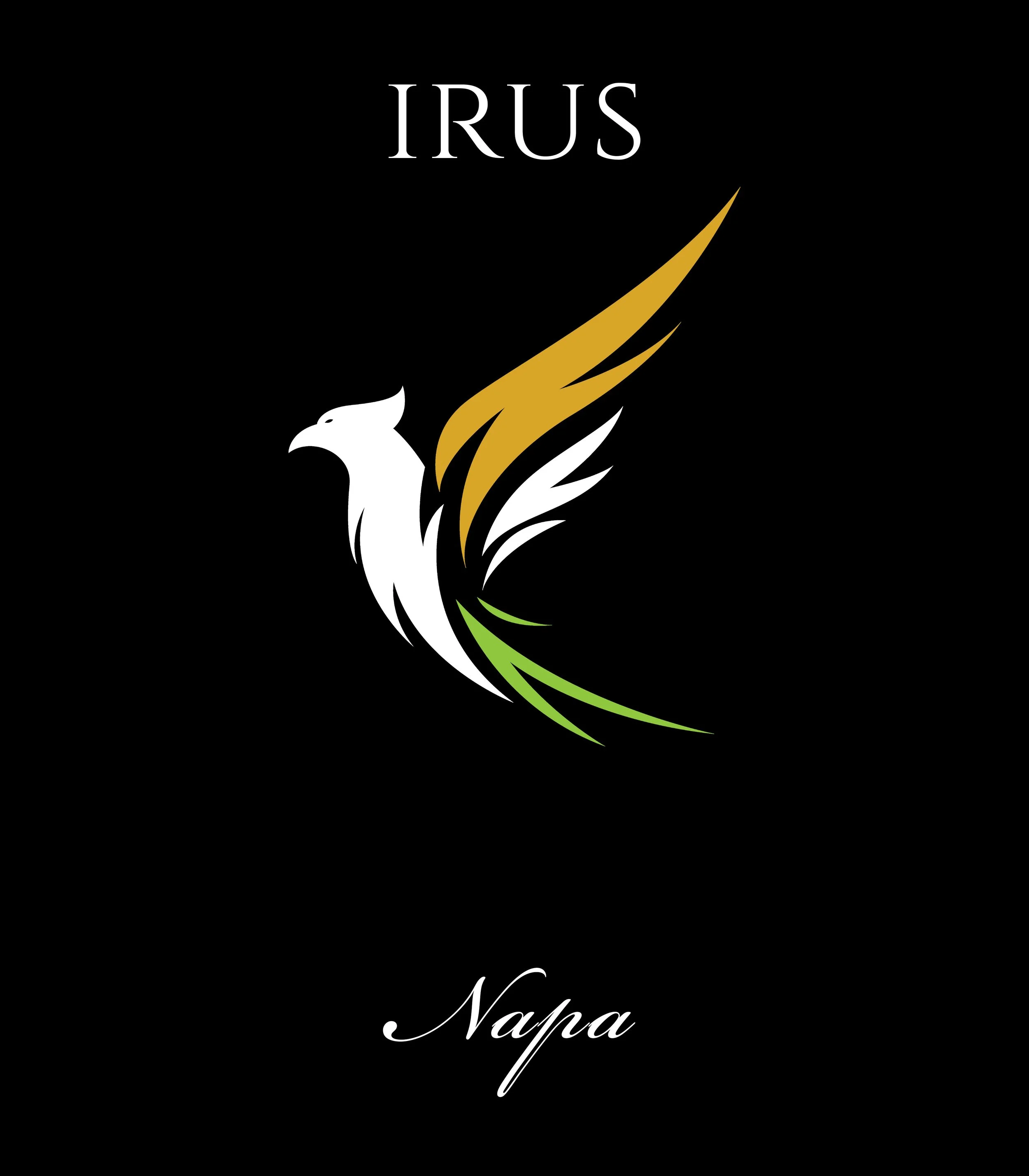 Irus Black - Variant1.jpg