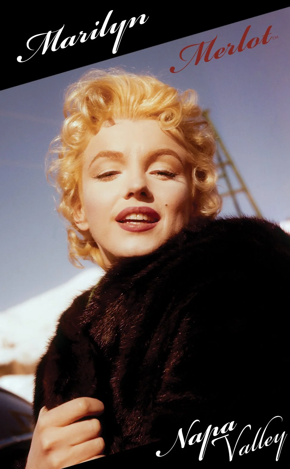 MM24 Front Label - Sample.jpg