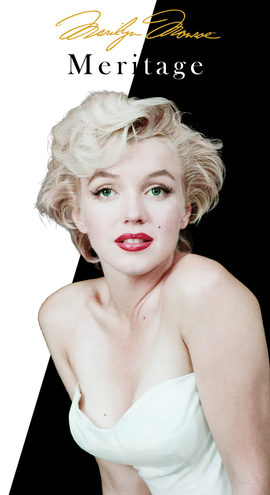 Front - MT19 (png).png