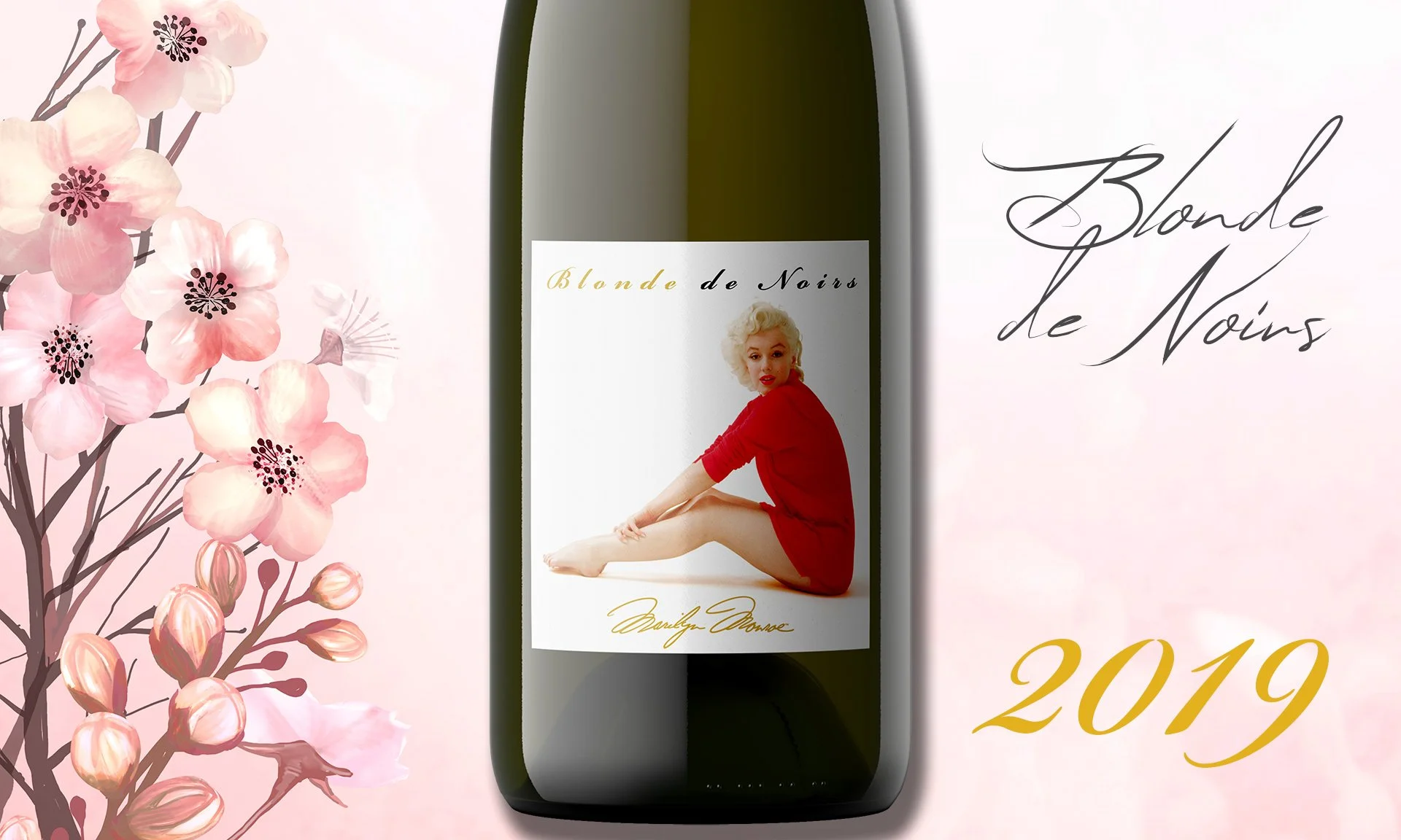 BN19 Debut (2k jpg 85%).jpg