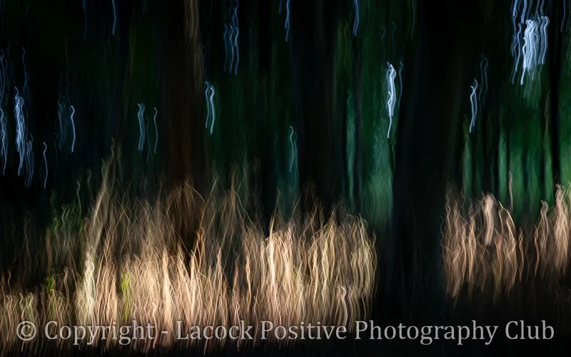 SueP_Lydiard 3_Fire! Fire!.jpg