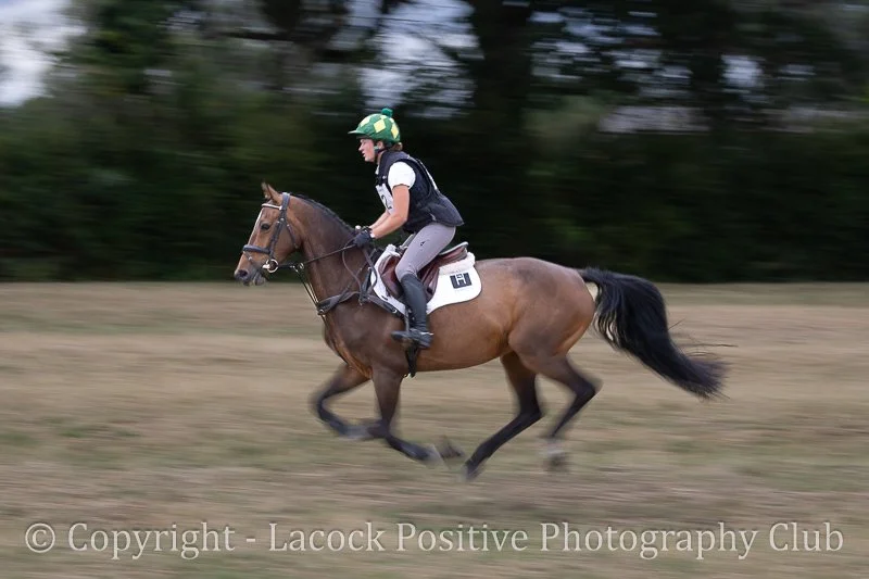 Lesley_Dauntsey 2.jpg