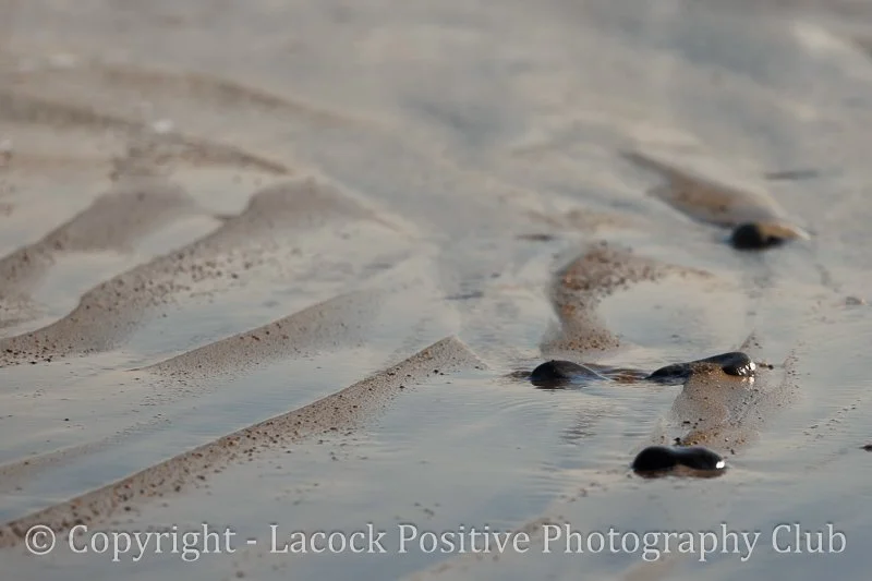 Julia _ Sand stones and sea.jpg