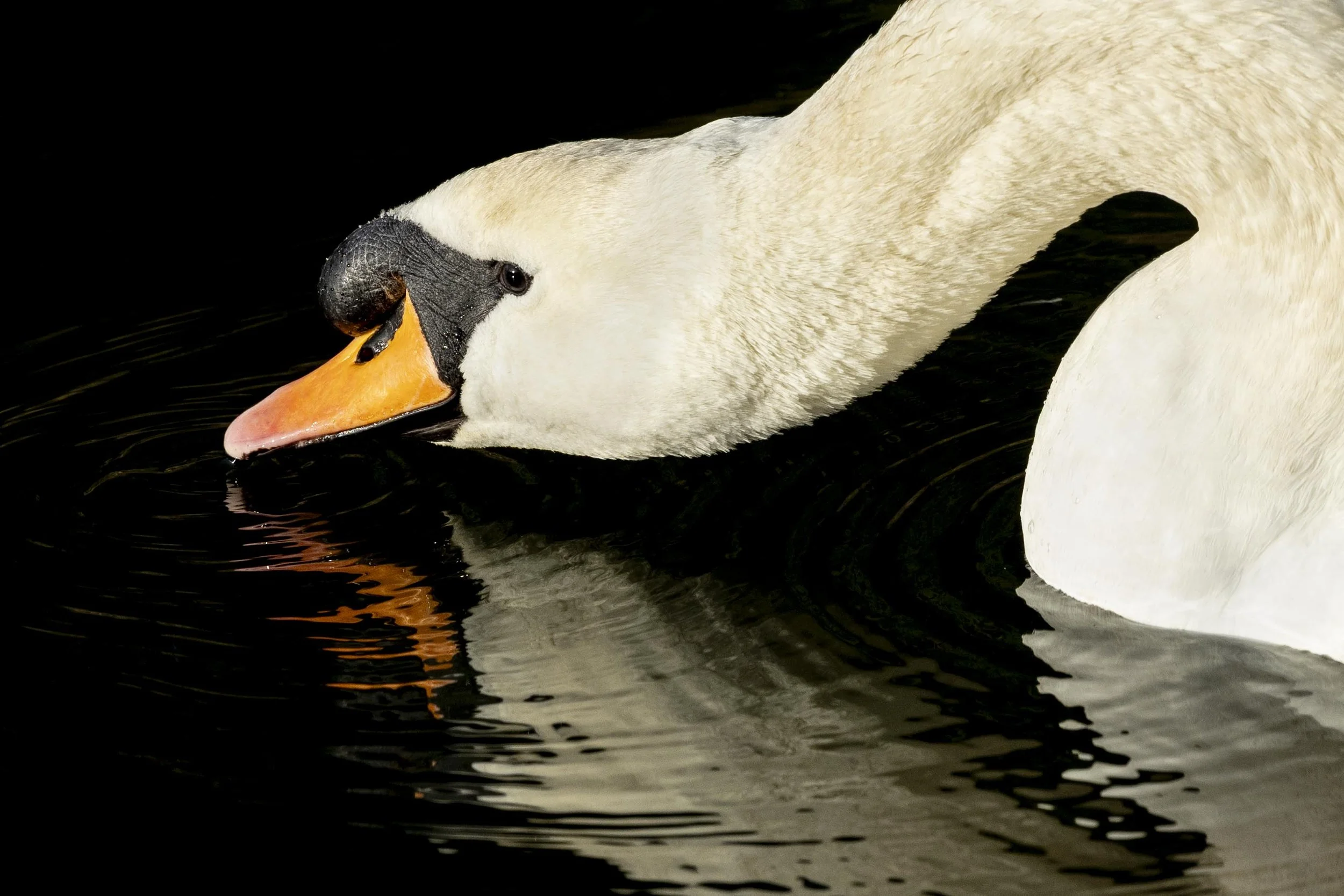 Julia December photo.jpg