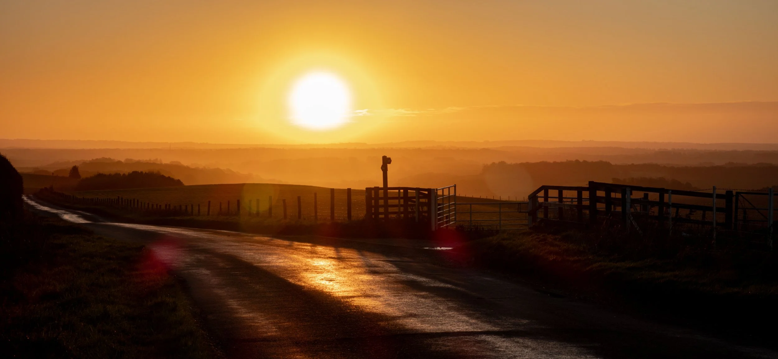 Derek L - Xmas Day Dec 25.jpg