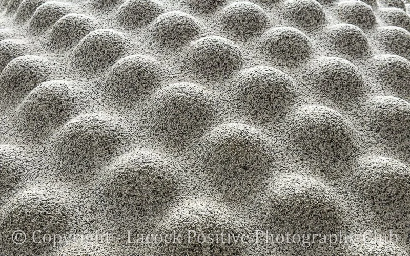 Seed - David S-2.jpg