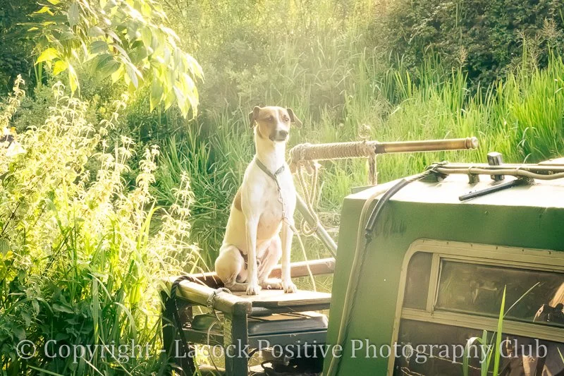 Danny - Hungerford 1.jpg