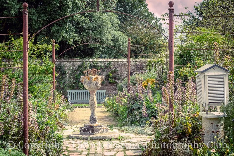 Garden - Ann (1).jpg