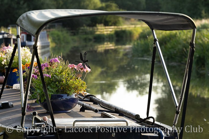 Julia - Hungerford-2.jpg