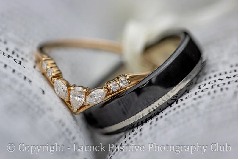 Derek L - Macro Photograph.jpg