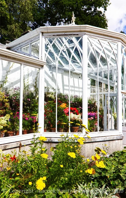 Caroline_Garden 2.jpg