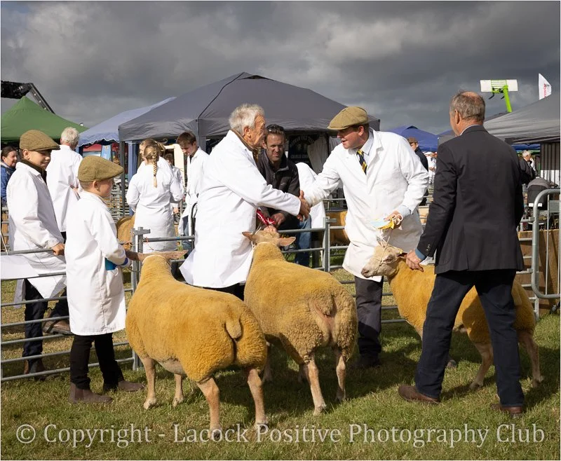 SueP_September_Gentlemen Farmers.jpg