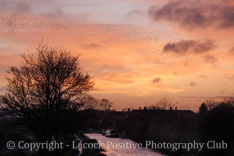 Julia February sunset.jpg