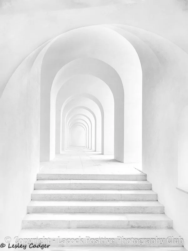 Lesley-4-a stairway.jpg