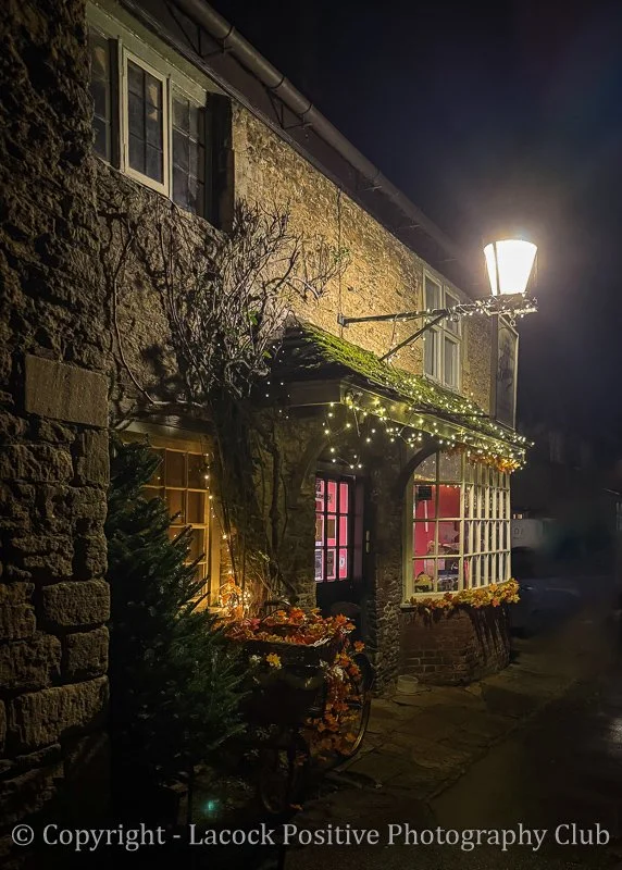 Ann H Deck the Halls - Ann H _.jpg