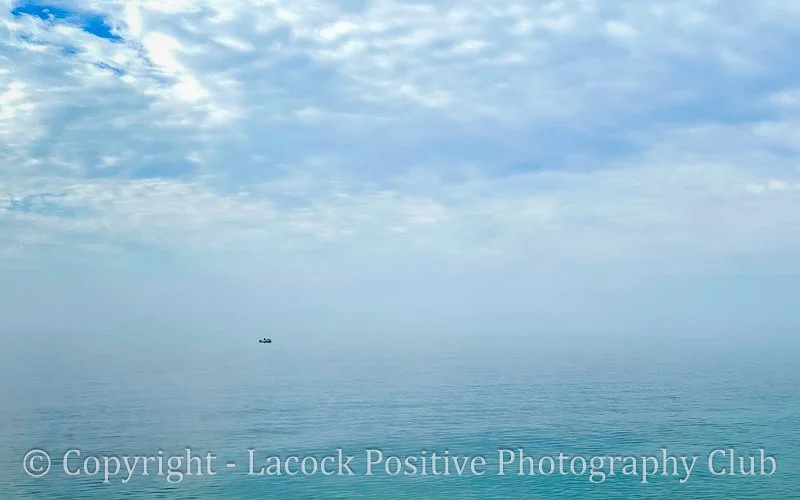 Solitude-1 David S.jpg