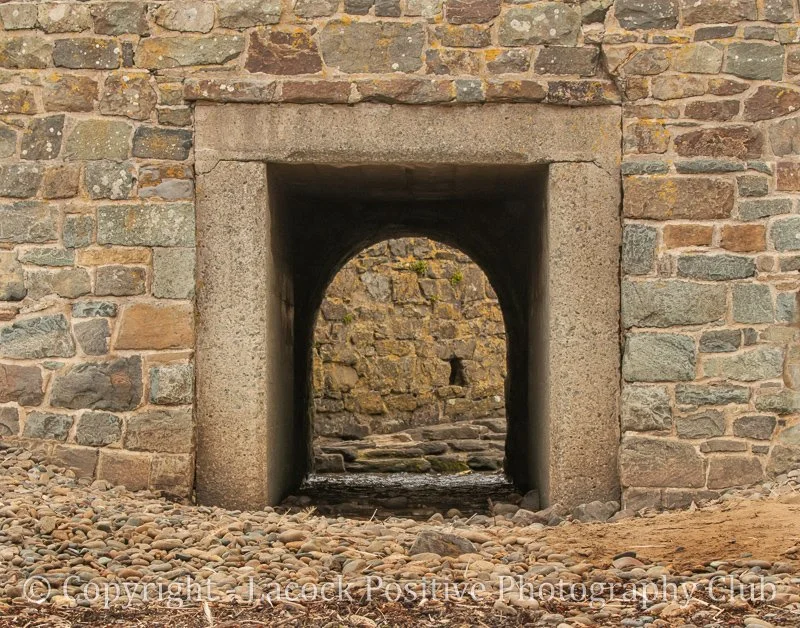 Ann - Invisible door_.jpg