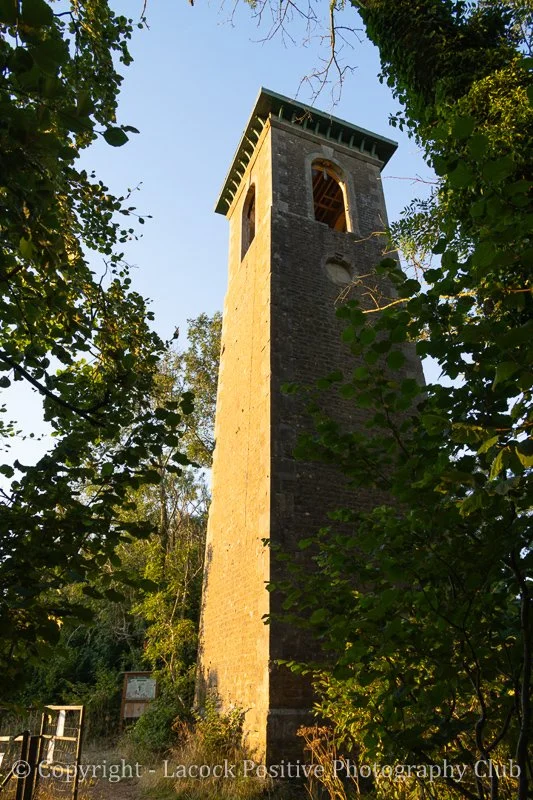 David S xBrowns folly DS 2.jpg