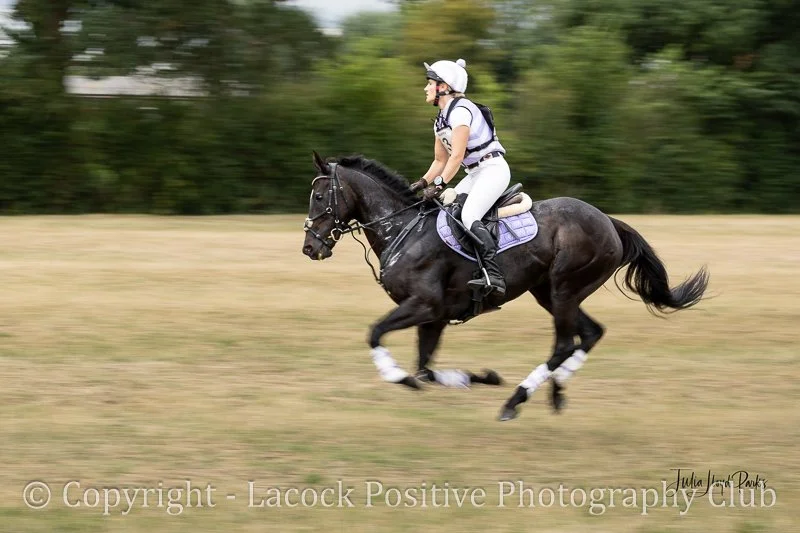 Julia_Dauntsey Park-1.jpg