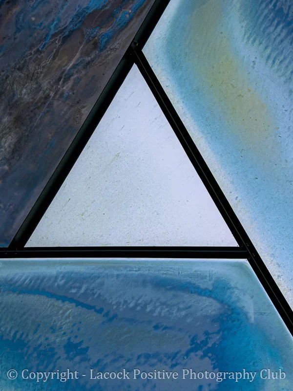 Eden Project Abstract Feb 26 David S-1.jpg