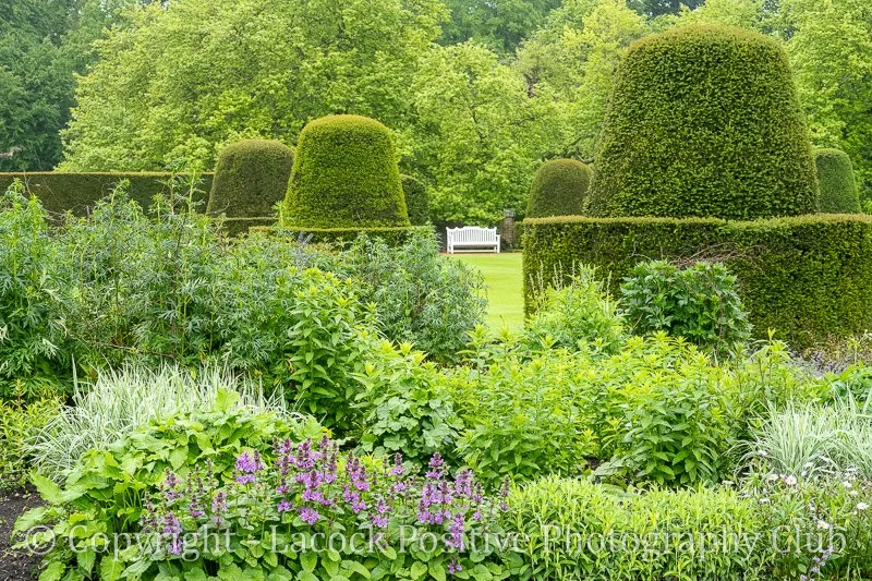 Danny - Garden 2.jpg