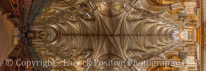 Pam Bamford - Lincoln Cathedral.jpg