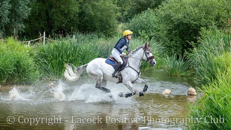 Danny - Dauntsey 2.jpg