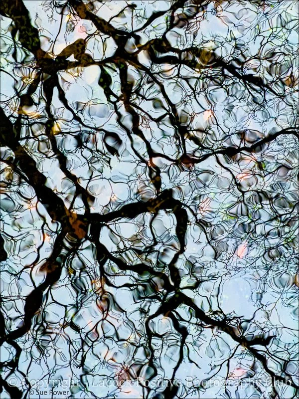 SueP_Mar 26_Breeze on Water.jpg