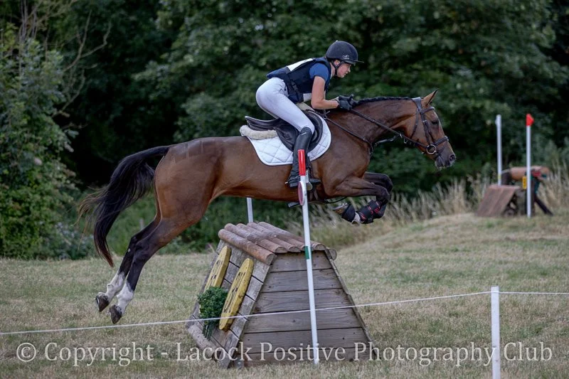 Derek L - Dauntsey (3).jpg