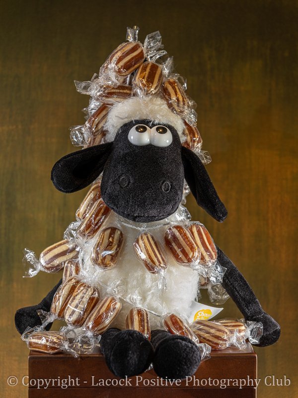 Pam Bamford - Baaaaa Humbug.jpg